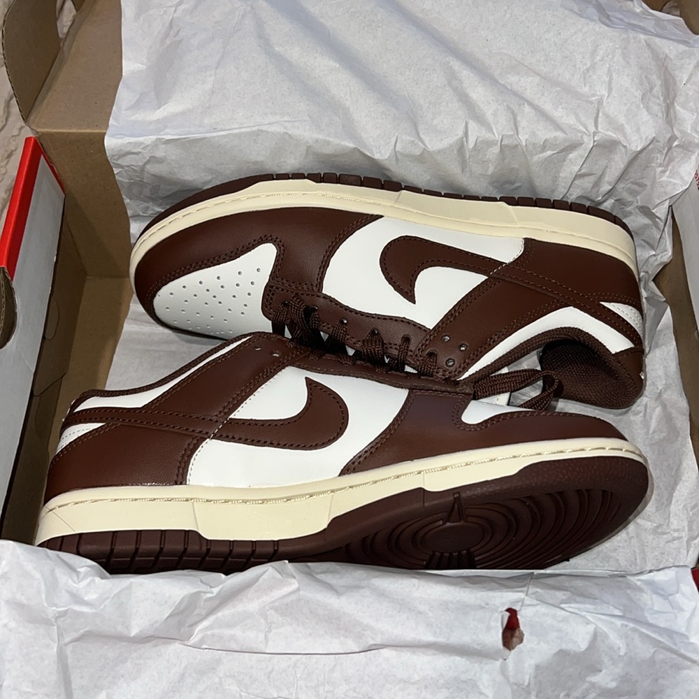 Brand new Nike Dunks with original box
